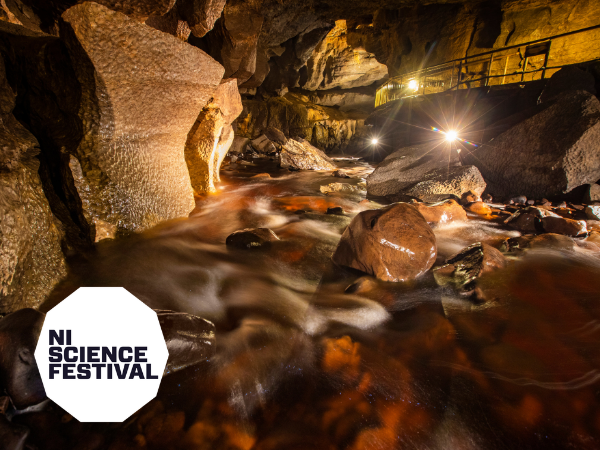 The Secret Life Of Water (NISF)