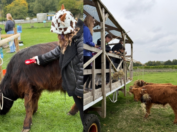 SATURDAY 31st JANUARY - Highland Cow Day