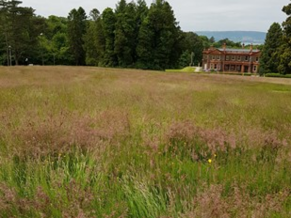 CEDaR at 30: Connecting Nature and People