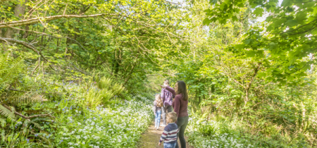 Orienteering at Cockington