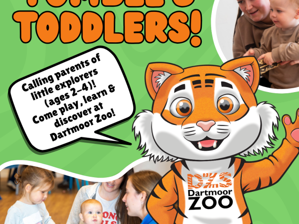 Tumble's Toddlers