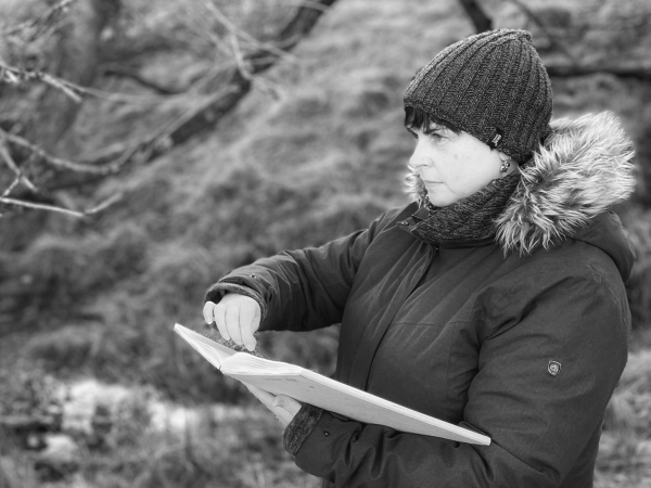 Artist Talk: Seen in the Trees with Tansy Lee Moir