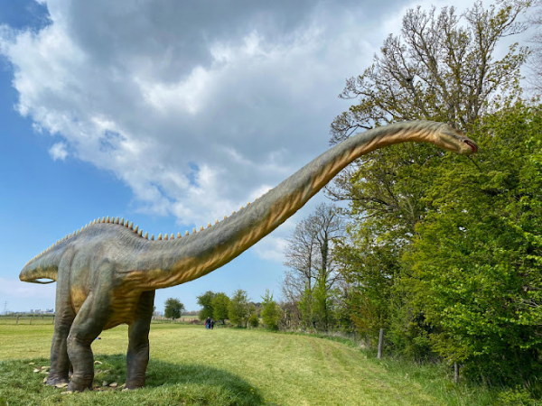 Dinosaur week- 16th /20th February 2026