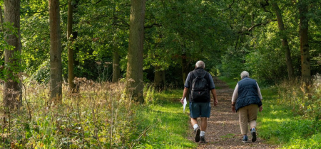 Workshop: Wellbeing Wander for Adults