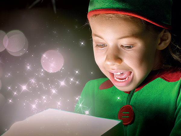 Elf Academy at WWT Washington
