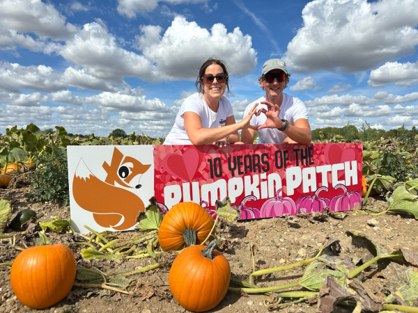 Pick your own Pumpkins at COLCHESTER CO6 3PT 2025