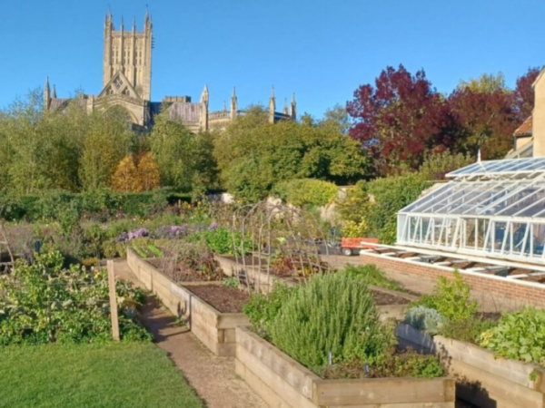 Somerset Food Trail – Community Garden Tour