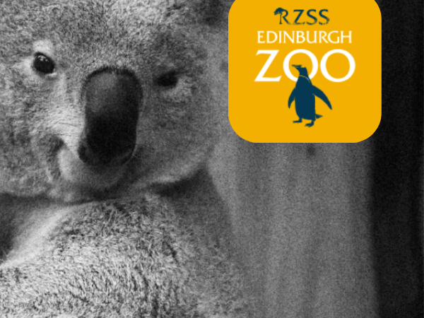 BIAZA Annual Conference 2026 Gala Dinner