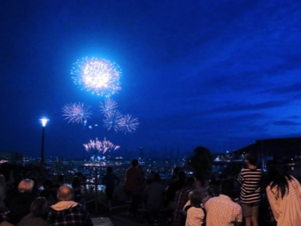 Fireworks at the Aquarium