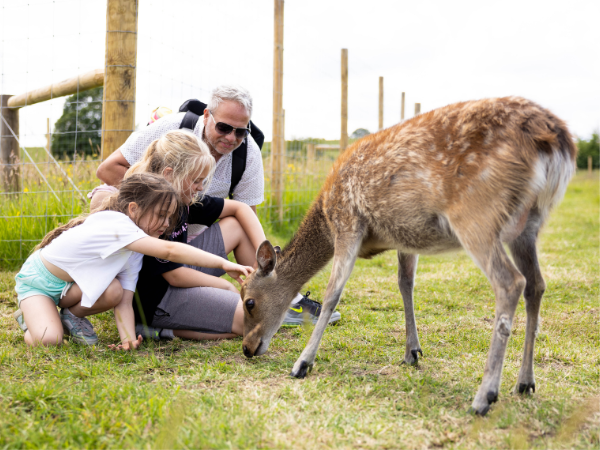 Deer & Reindeer Experience