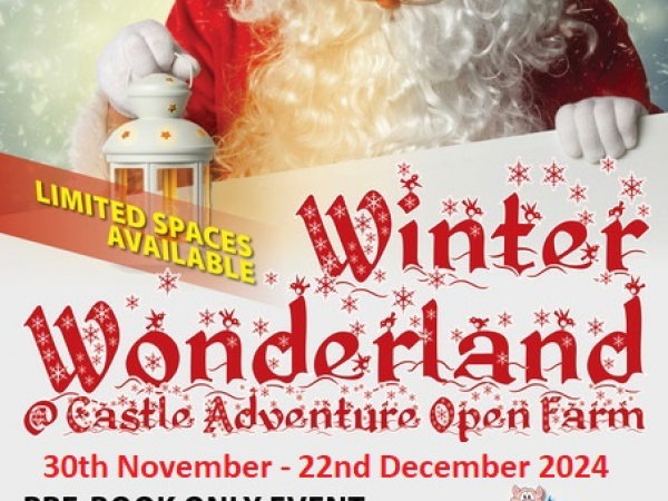 Winter Wonderland at Castle Adventure
