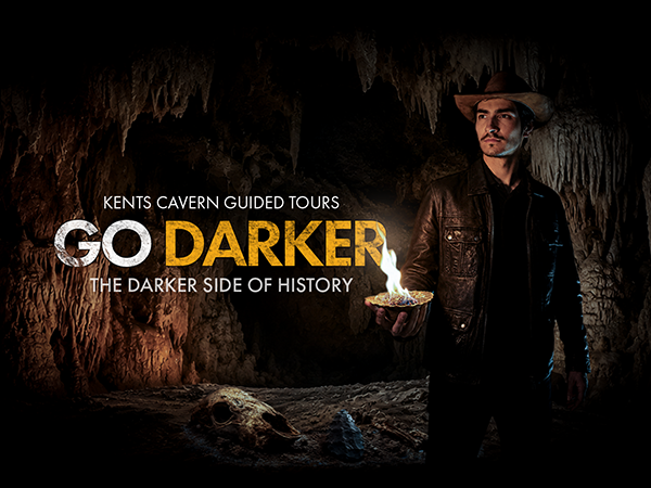 "Go Darker" Guided Tours