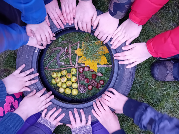 Wild Nature Adventures! @ Hawick Museum