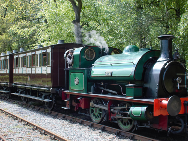 Traditional 'Knotty' Carriages