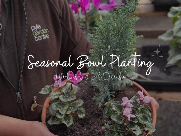 Seasonal Bowl Planting Workshop