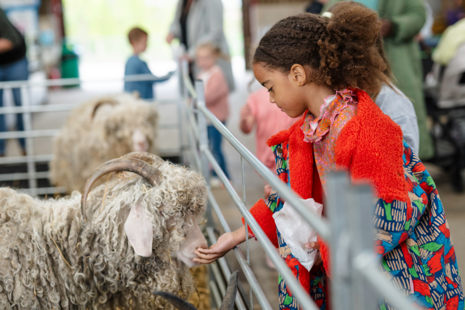 Buy Day Entry General Admission Tickets online Mead Open Farm