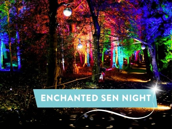 Enchanted SEN Night