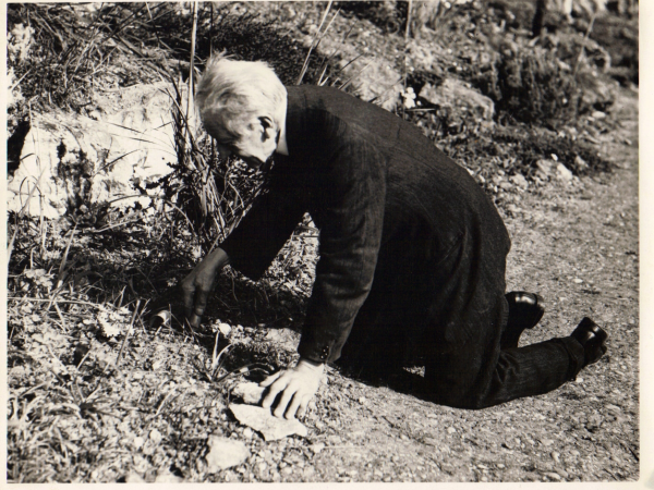 ‘E A Bowles: inspirational galanthophile and croconut’ lecture