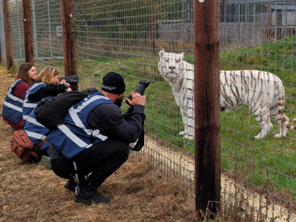 Photography Experience