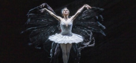 The Royal Ballet - The Swan Lake