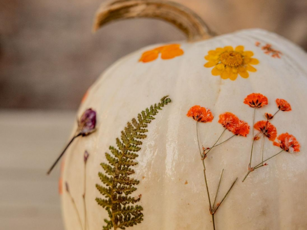 Halloween Pumpkin Workshop with Periwinkle Barn