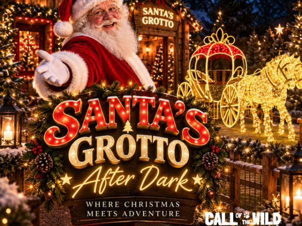Grotto After Dark!