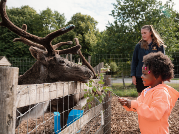 VIP FAMILY FARMYARD EXPERIENCE