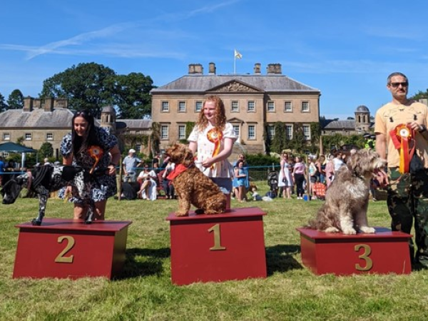 Dumfries House Dog Show in support of Armed Forces Day by the King's Foundation and Bravehound