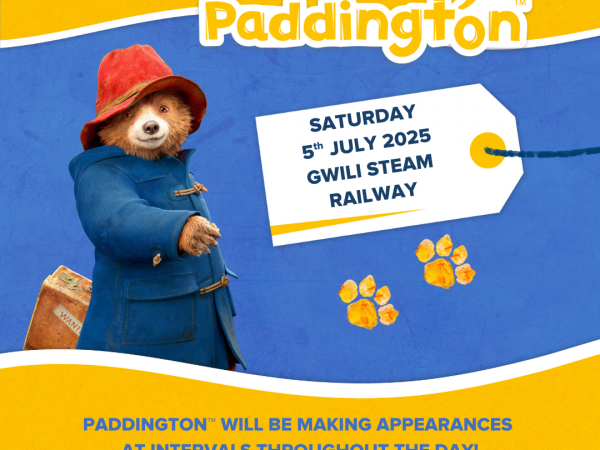 Paddington Visits! Train Tickets (Carmarthenshire)