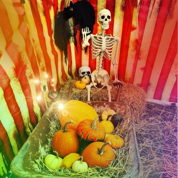 Buy Pumpkin Fest by Night Admission Tickets online Manor Farm Fruits