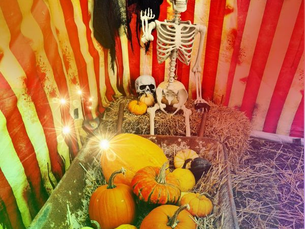 Pumpkin Fest by Night Admission