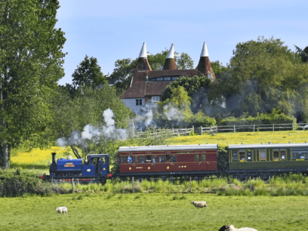 Paddington Visits! Train Tickets (Kent)