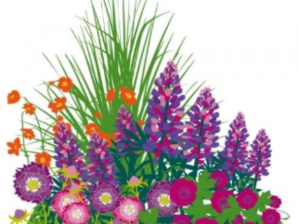 Pepper Hill Sun Lovers