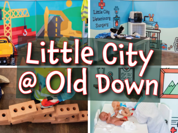 Little City at Old Down Country Park