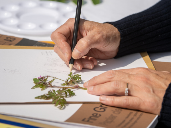 Watercolours in the Meadow Art Workshop