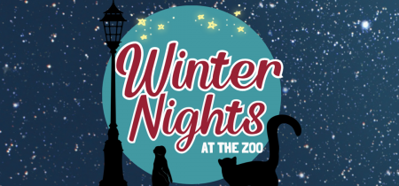 Winter Nights at BCPZ