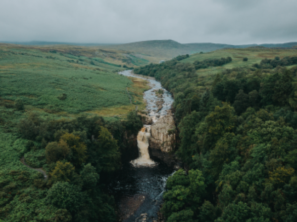 Introduction to Identifying Bats in Upper- Teesdale