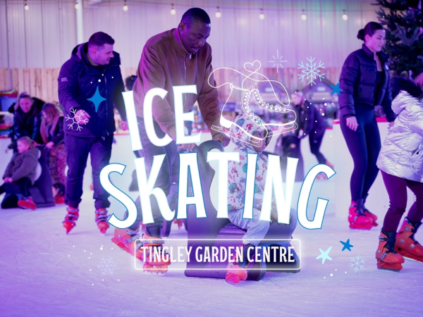Winter Ice Skating at Tingley Garden Centre