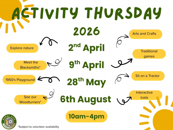 Activity Thursday