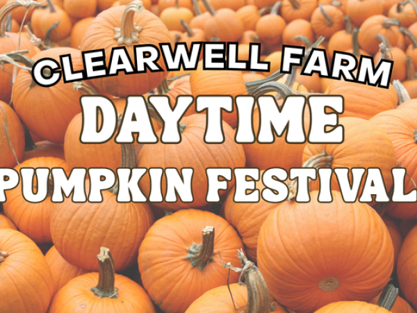 Pumpkin Daytime Festival