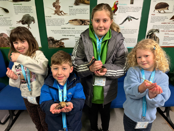 Mini Beast Meet and Greet