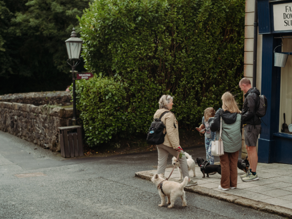 Conservation Detection Dogs with CeDaR