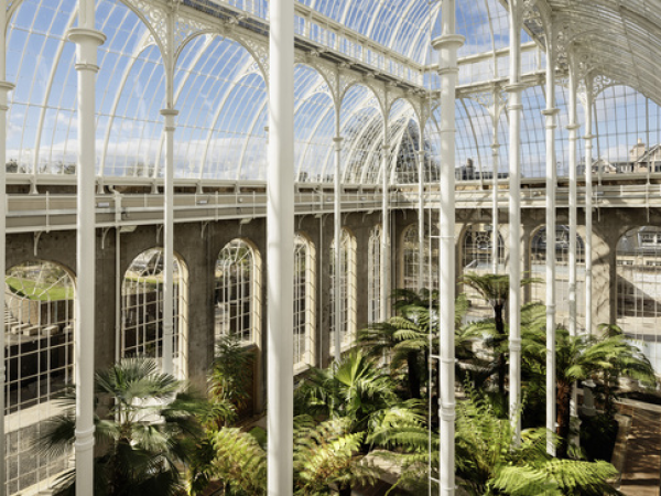 Palm House Sessions - clàrsach