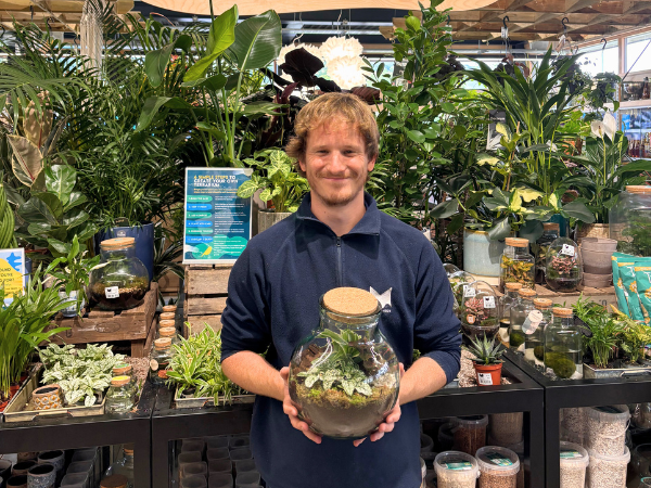 Create Your Own Terrarium Workshop