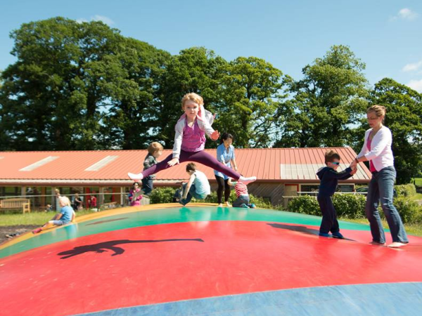 Summer Savings at Briarlands Farm!