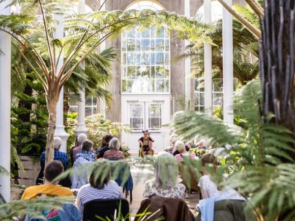 Palm House Sessions - cello