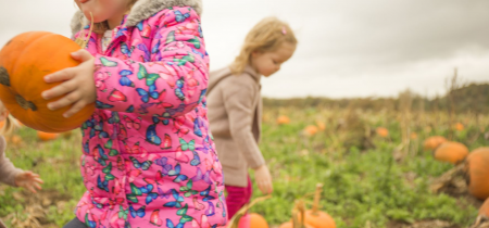 Pumpkin Festival 2023 19th-31st October