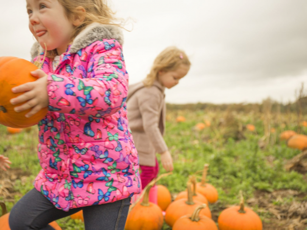 Pumpkin Festival 2023 19th-31st October