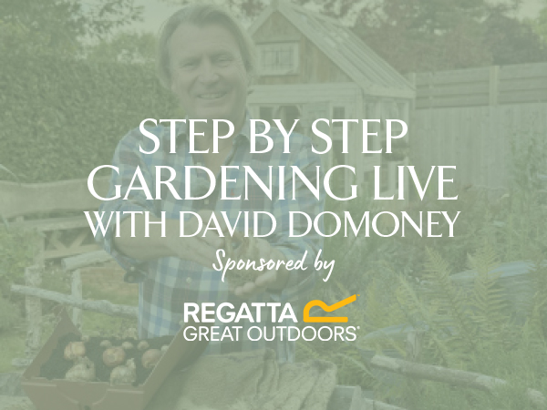 Step by Step Live Gardening with David Domoney- Sponsored by Regatta