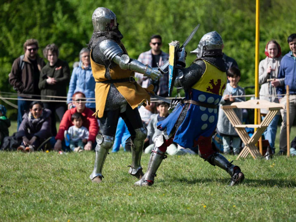 two medieval soldiers fighting